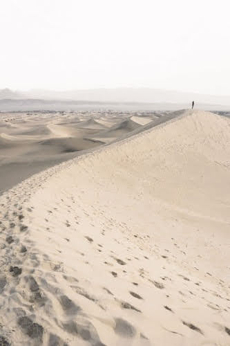 Lee más sobre el artículo El desierto cuaresmal, oasis para el corazón
